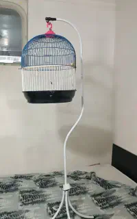 قفس ایستاده