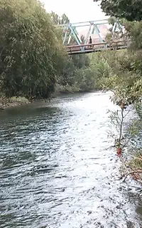 بلیط استخر