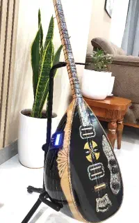 انواع ساز برقی( الکترو باغلاما)