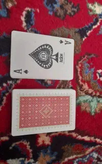 پاسور