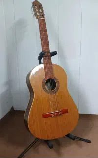 گیتار آکوستیک