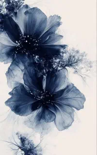 سیمکارت دائمی رند