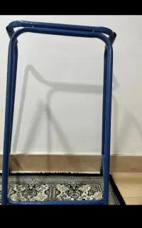 واکر عصا