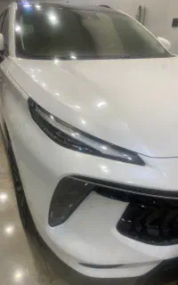 لاماری درجه ۱