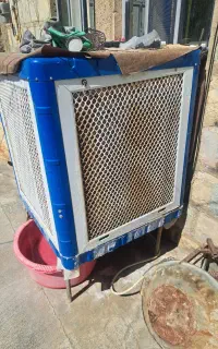 کولرسلولزی 6500