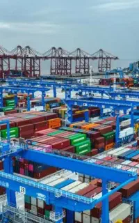 انجام امور گمرکی و ثبت سفارش