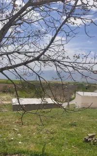 رادیو شارژی