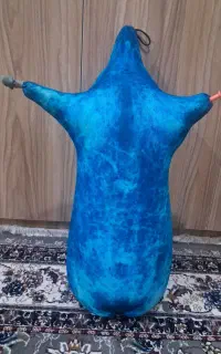 نی انبان حرفه ای