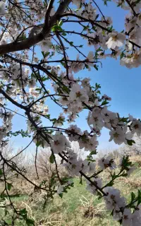 ارائه خدمات نقاشی ساختمان