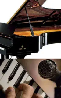 تدریس ارگ و پیانو با هزینه کم