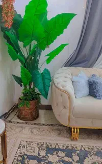 کاملا نو  بدون گلدون یک متر و ۸۰ سانت هست