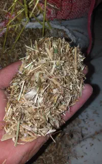 فروش کاه قره دنه