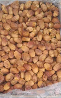 خرمای زاهدی