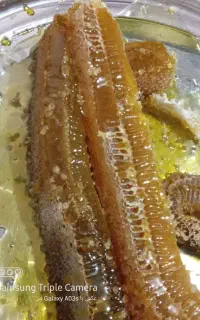 فروش عسل بهاره طبیعی ،