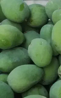 انبه بدون استخوان