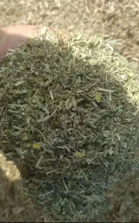 کاه ماش کمباینی
