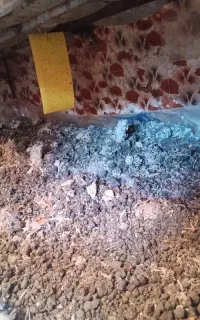کمپوست قارچ  مناسب برای خاک باغچه و کشاورزی