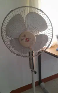 پنکه