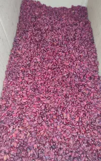 پخش زرشک برنج پاکستانی نخود و حبوبات