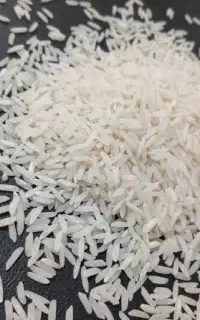 یک گونی فجز سوزنی