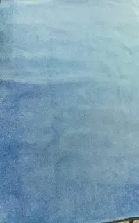 پالاز موکت تمییز