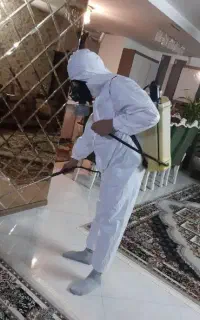 سمپاشی ساس کنه سوسک موش موریانه سمپاشی ضمانتی