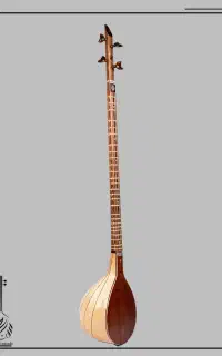 سه تار محمدی