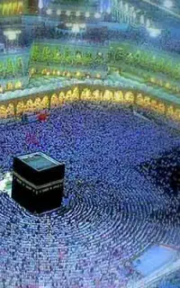 فروش فیش عمره
