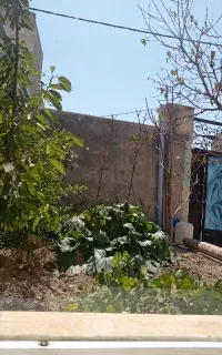 استا کار