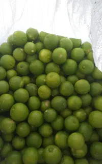 لیمو ترش ابدار