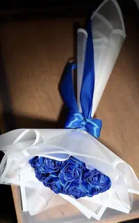 گل روبانی
