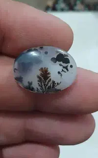 سنگ شجر و انگشتر زبرجد اصل رکاب شاکری