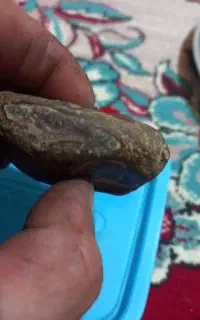 سبزی خردکن،اجاق گاز