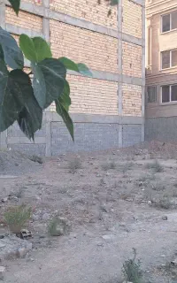 مشارکت در ساخت
