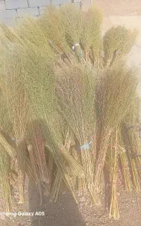 فروش جارو