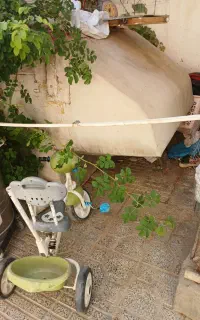 باربند وانت آریسان مسقف
