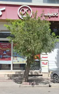 استخدام نیروی مرد شیفت عصر فروشگاه
