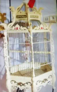 قفس طرح اژدها