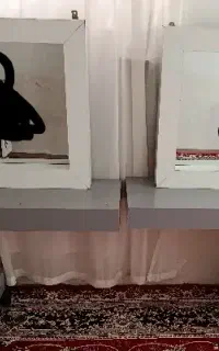 دکور ارایشگاهی