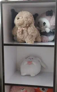 قفسه کتاب وعروسک ۵طبقه ام دی آف