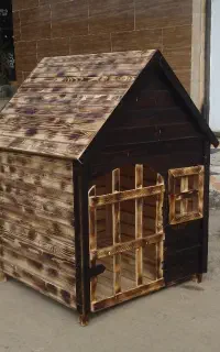 لانه سگ و گربه