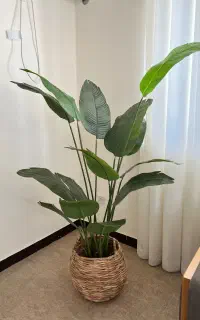 درختچه مصنوعی وارداتی