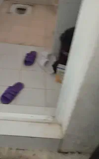 خدمات کار در منزل