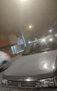 پژو آردی مدل 81