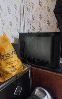تلویزیون سنام