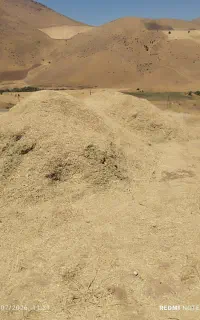 علف حدود ۷تا 8 تن