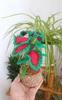 گل بافتنی