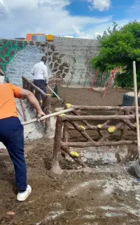 خدمات باغبانی و هرس کاری و  سم پاشی و درختکاری