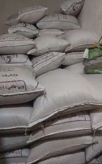 فروش دانه مرغی بصورت کیسه ای