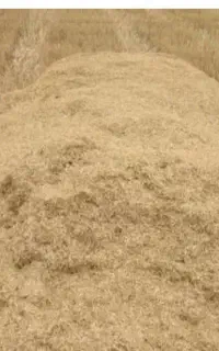 کاه فروشی